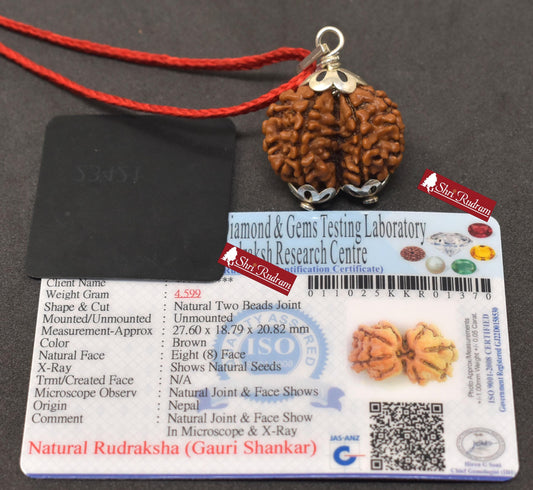 ShriRudram Gauri Shankar Rudraksha / Gouri Sankar Rudraksh Nepal Bead Lab Certified 27.60 MM