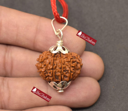 ShriRudram 12 Mukhi Rudraksha / Twelve Face Rudraksh Nepal Bead Lab Certified 23.52 MM