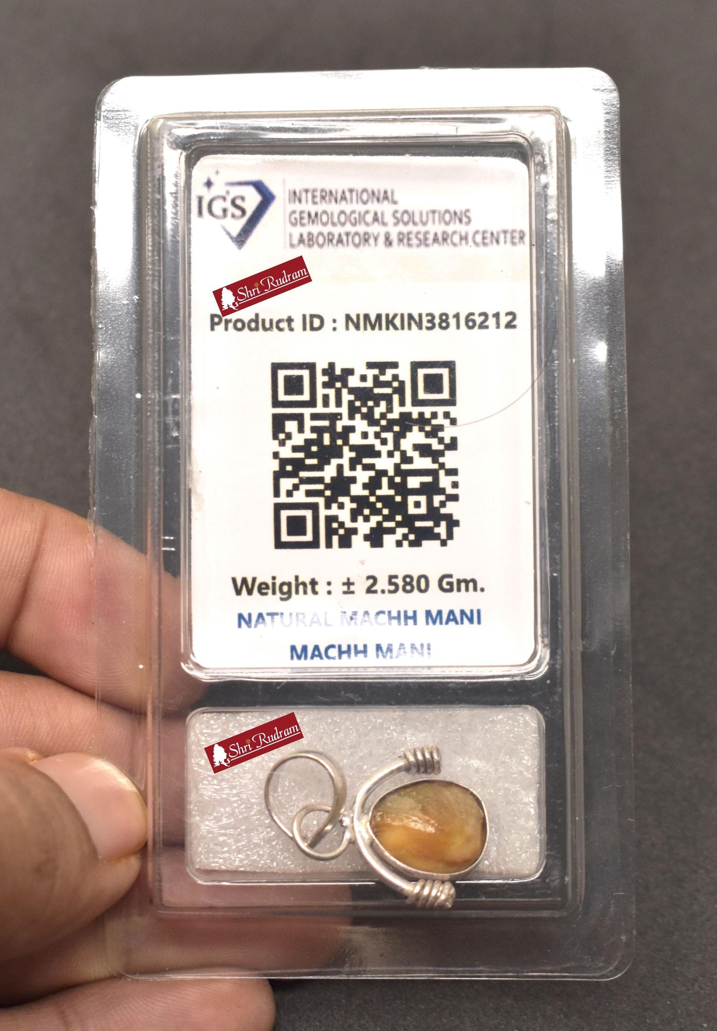 ShriRudram Natural Mach Mani Stone Pendant  Rare Fish Pearl Matsya Mani Gemstone Fish Pearl Pendant Kuber Mani stone Rare machhmani MM12