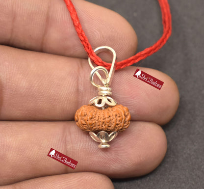 ShriRudram 14 Mukhi Rudraksha Fourteen Face Rudraksh Java Bead Pendant Yoga Jewelry Lab Certified 14.57 MM