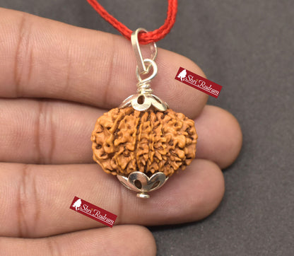 ShriRudram 13 Mukhi Rudraksha / Thirteen Face Rudraksh Nepal Bead Lab Certified 26.01 MM