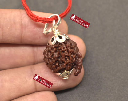 ShriRudram Ganesh Rudraksha / Ganesha Rudraksh Nepal Bead Lab Certified 21.00 MM