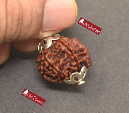 ShriRudram Ganesh Rudraksha / Ganesha Rudraksh Nepal Bead Lab Certified 22.70 MM