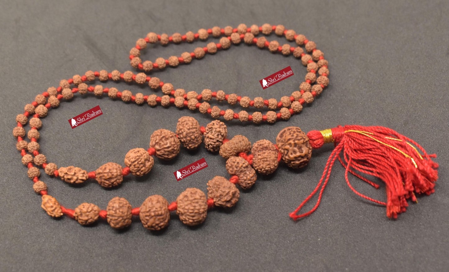 ShriRudram Siddha Mala - 1 to 14 Mukhi Rudraksha Beads With Gauri Shankar and Ganesh Rudraksha, Indonesian Beads Lab Certified D86