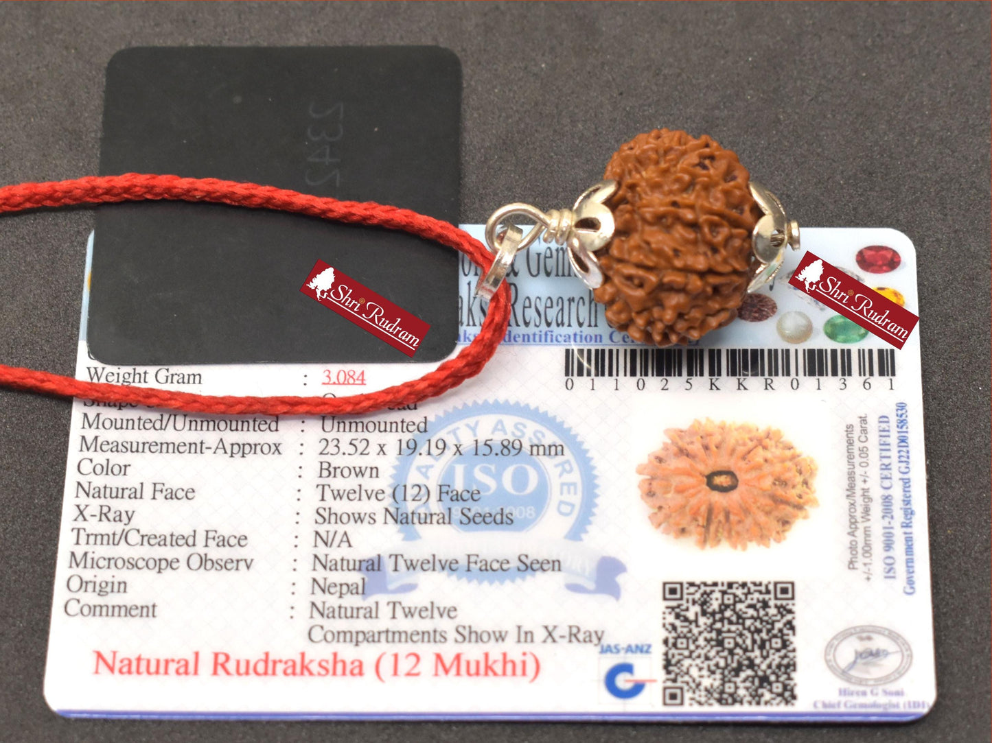 ShriRudram 12 Mukhi Rudraksha / Twelve Face Rudraksh Nepal Bead Lab Certified 23.52 MM