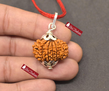 ShriRudram 13 Mukhi Rudraksha / Thirteen Face Rudraksh Nepal Bead Super Collector Lab Certified 25.15 MM