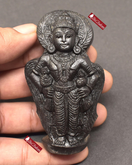 ShriRudram Panduranga Murti Vitthal Idol Carved on Sudarshan Shaligram Nepal PR132