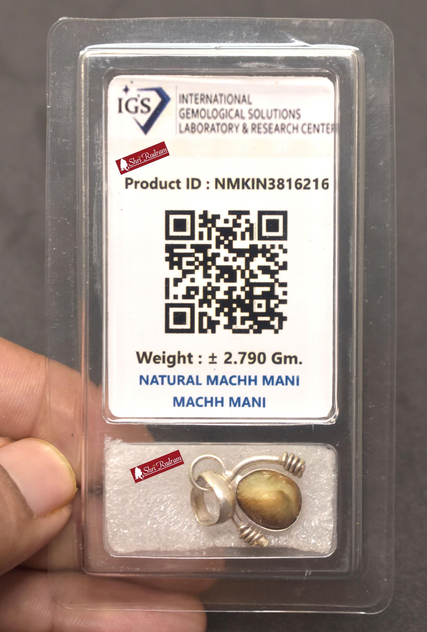 ShriRudram Natural Mach Mani Stone Pendant  Rare Fish Pearl Matsya Mani Gemstone Fish Pearl Pendant Kuber Mani stone Rare machhmani D16