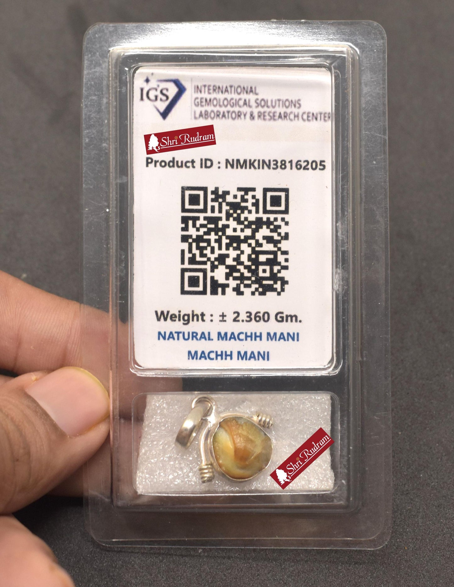 ShriRudram Natural Mach Mani Stone Pendant  Rare Fish Pearl Matsya Mani Gemstone Fish Pearl Pendant Kuber Mani stone Rare machhmani D05