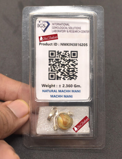 ShriRudram Natural Mach Mani Stone Pendant  Rare Fish Pearl Matsya Mani Gemstone Fish Pearl Pendant Kuber Mani stone Rare machhmani D05