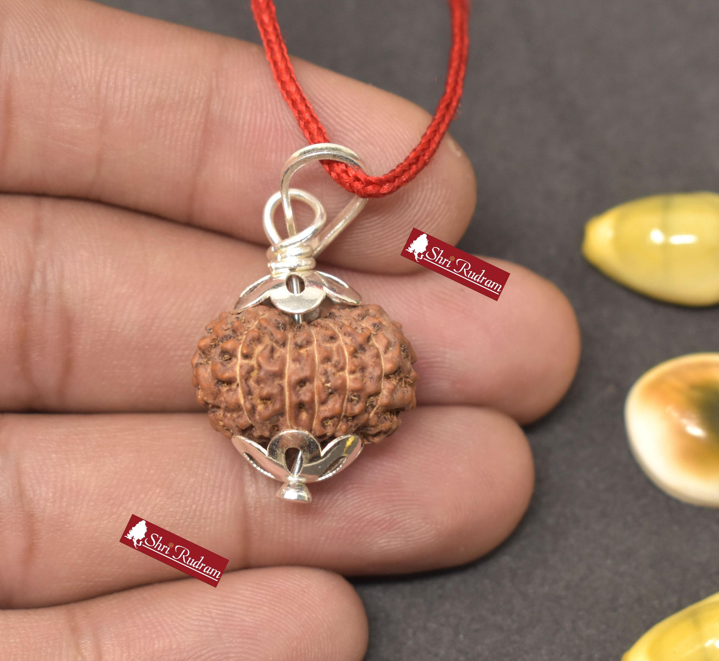 ShriRudram 12 Mukhi Rudraksha / Twelve Face Rudraksh Java Bead Lab Certified 20.16 MM