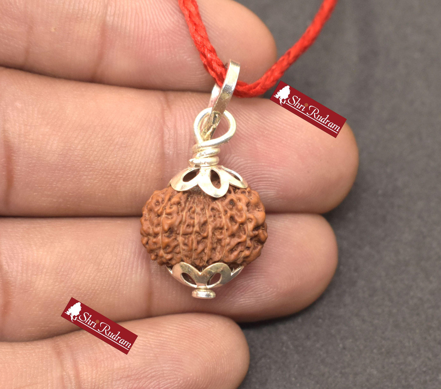 ShriRudram 14 Mukhi Rudraksha Fourteen Face Rudraksh Java Bead Pendant Yoga Jewelry Lab Certified 17.57 MM