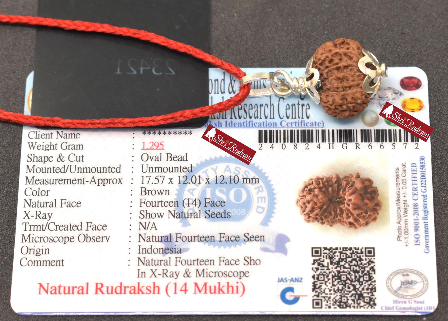 ShriRudram 14 Mukhi Rudraksha Fourteen Face Rudraksh Java Bead Pendant Yoga Jewelry Lab Certified 17.57 MM