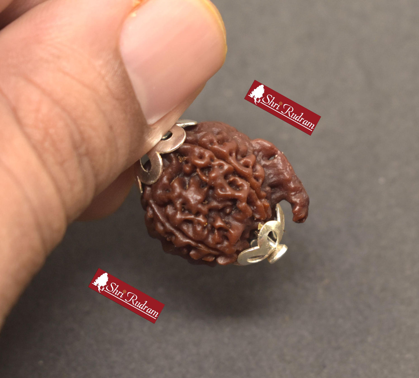 ShriRudram Ganesh Rudraksha / Ganesha Rudraksh Nepal Bead Lab Certified 21.00 MM