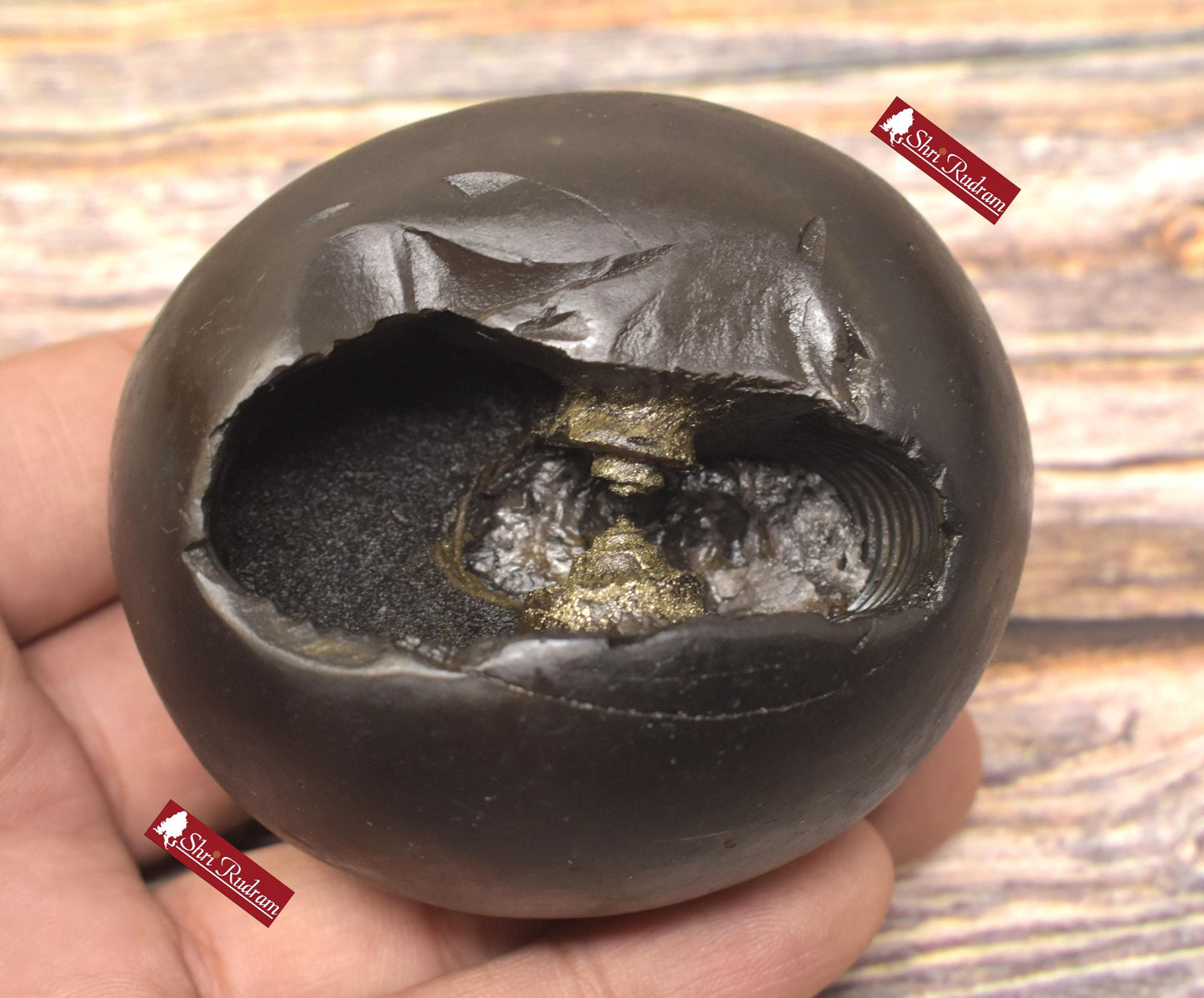 ShriRudram Rare Golden Luxmi Narsimha Shaligram, Saligram Stone - Gandaki Nepal, , Pooja Item, Vishnu Puja, Religious Gifts NS308