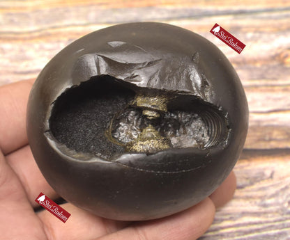 ShriRudram Rare Golden Luxmi Narsimha Shaligram, Saligram Stone - Gandaki Nepal, , Pooja Item, Vishnu Puja, Religious Gifts NS308