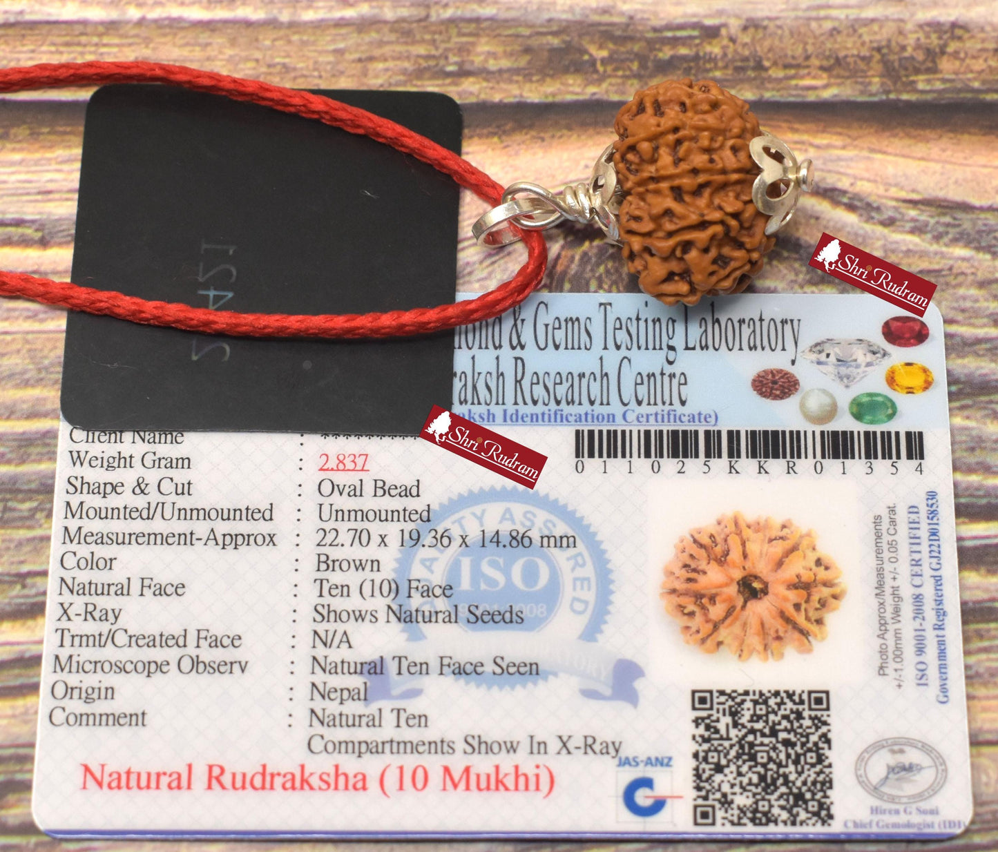 ShriRudram 10 Mukhi Rudraksha / Ten Face Rudraksh Nepal Bead Lab Certified 22.70 MM