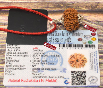 ShriRudram 10 Mukhi Rudraksha / Ten Face Rudraksh Nepal Bead Lab Certified 22.70 MM