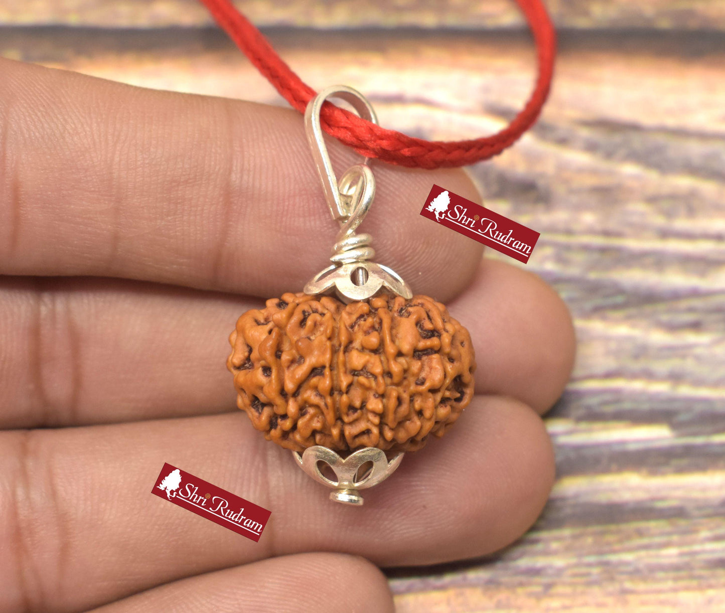 ShriRudram 10 Mukhi Rudraksha / Ten Face Rudraksh Nepal Bead Lab Certified 22.70 MM
