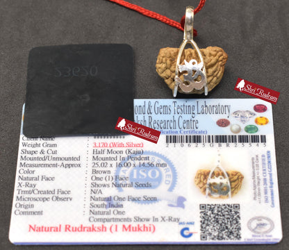 Shri Rudram 1 Mukhi Rudraksha/  One Face Rudraksh Bead Lab Certified Top Quality