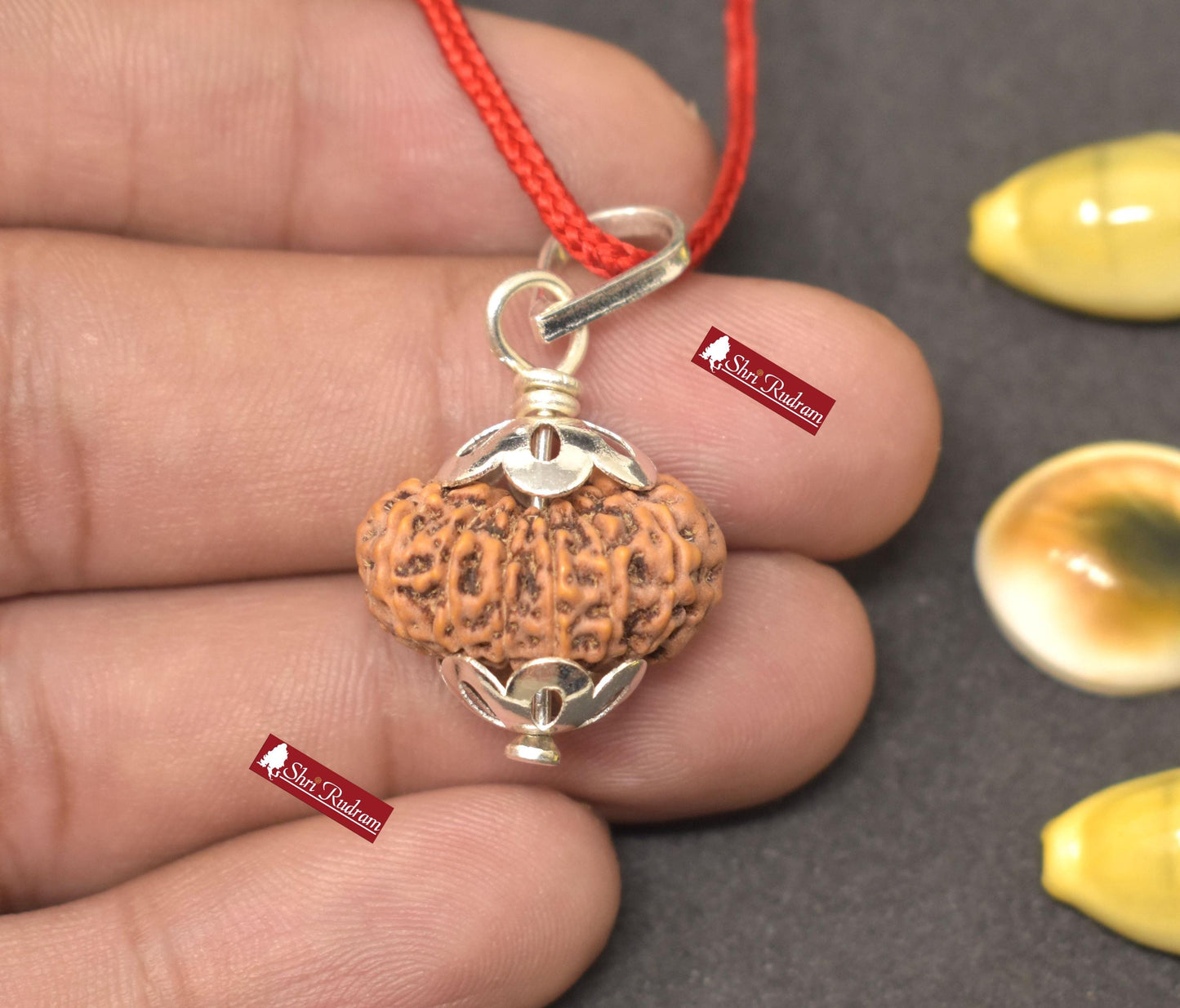 ShriRudram 14 Mukhi Rudraksha Fourteen Face Rudraksh Java Bead Pendant Yoga Jewelry Lab Certified 20.02 MM
