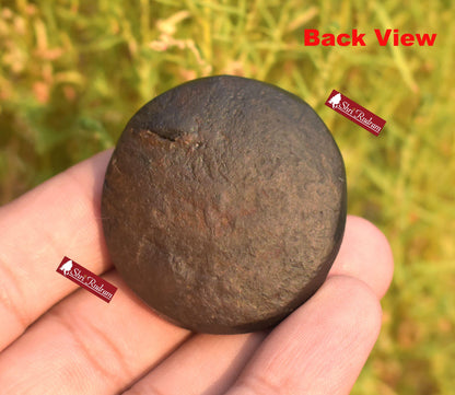 ShriRudram Sudarshan Shaligram / Sudershan Saligram Stone Ammolite Gandaki Nepal SB34