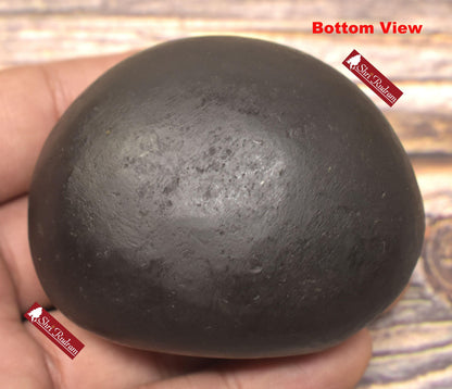 ShriRudram Varaha Shaligram Laxmi Varaha Saligram Stone Gandaki Nepal, Pooja Item, VS190