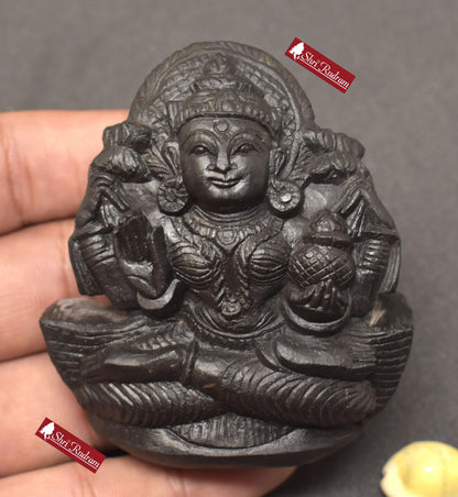 ShriRudram Laxmi Murti / Aishwariya Luxmi Statue Carved on Sudarshan Shaligram Nepal LM130