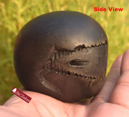 ShriRudram Luxmi Narsimha Shaligram, Saligram Stone Gandaki Nepal, Ritual Object, Pooja Item, Vishnu Puja, Religious Gifts NS323