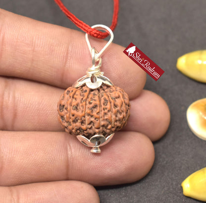 ShriRudram 13 Mukhi Rudraksha / Thirteen Face Rudraksh Java Bead Lab Certified 21.86 MM