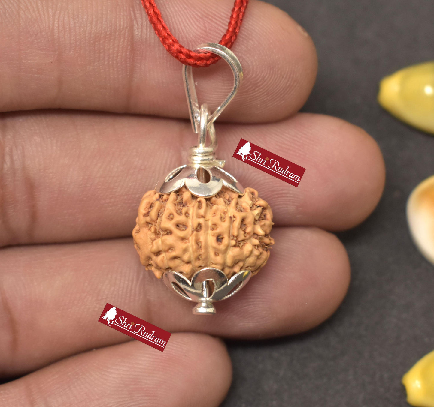 ShriRudram 12 Mukhi Rudraksha / Twelve Face Rudraksh Java Bead Lab Certified 18.52 MM