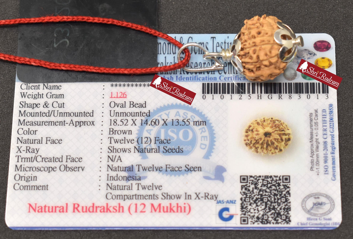 ShriRudram 12 Mukhi Rudraksha / Twelve Face Rudraksh Java Bead Lab Certified 18.52 MM