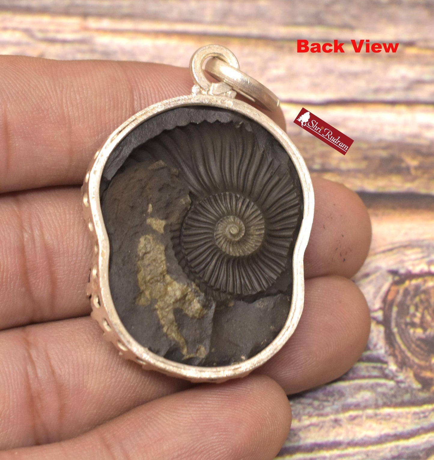 ShriRudram Narsimha Face / Narasimha Carved on Sudarshan Shaligram Locket Pendant Silver NNL20