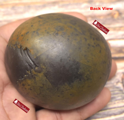 ShriRudram Rare Golden Luxmi Narsimha Shaligram, Saligram Stone - Gandaki Nepal, , Pooja Item, Vishnu Puja, Religious Gifts NS308