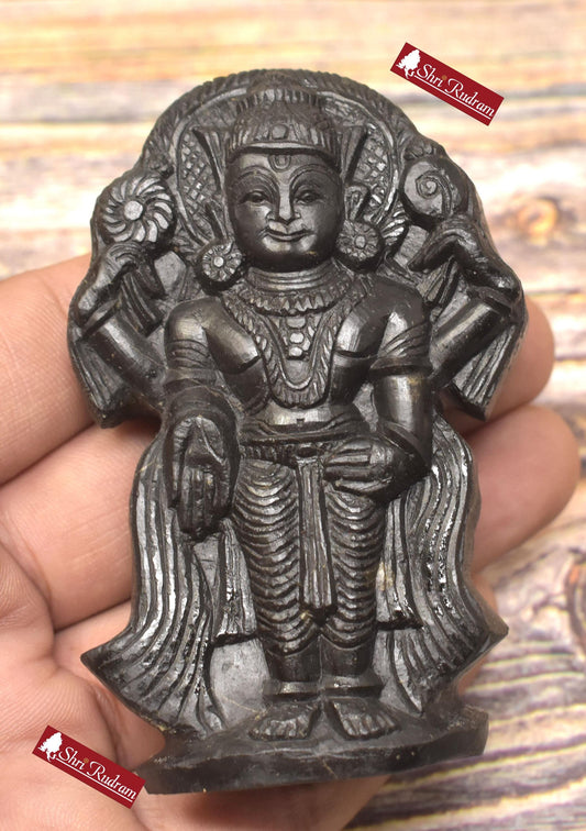 ShriRudram Tirupati Balaji Murti Venkateshwar Statue Idol Carved on Golden Sudarshan Shaligram Nepal TS187
