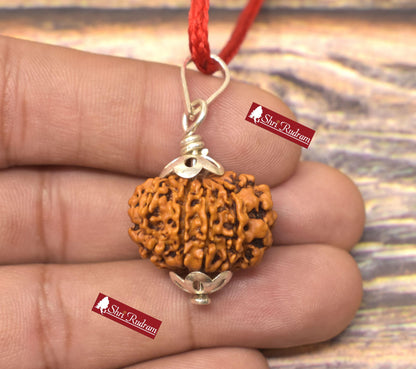 ShriRudram 10 Mukhi Rudraksha / Ten Face Rudraksh Nepal Bead Lab Certified 22.76 MM