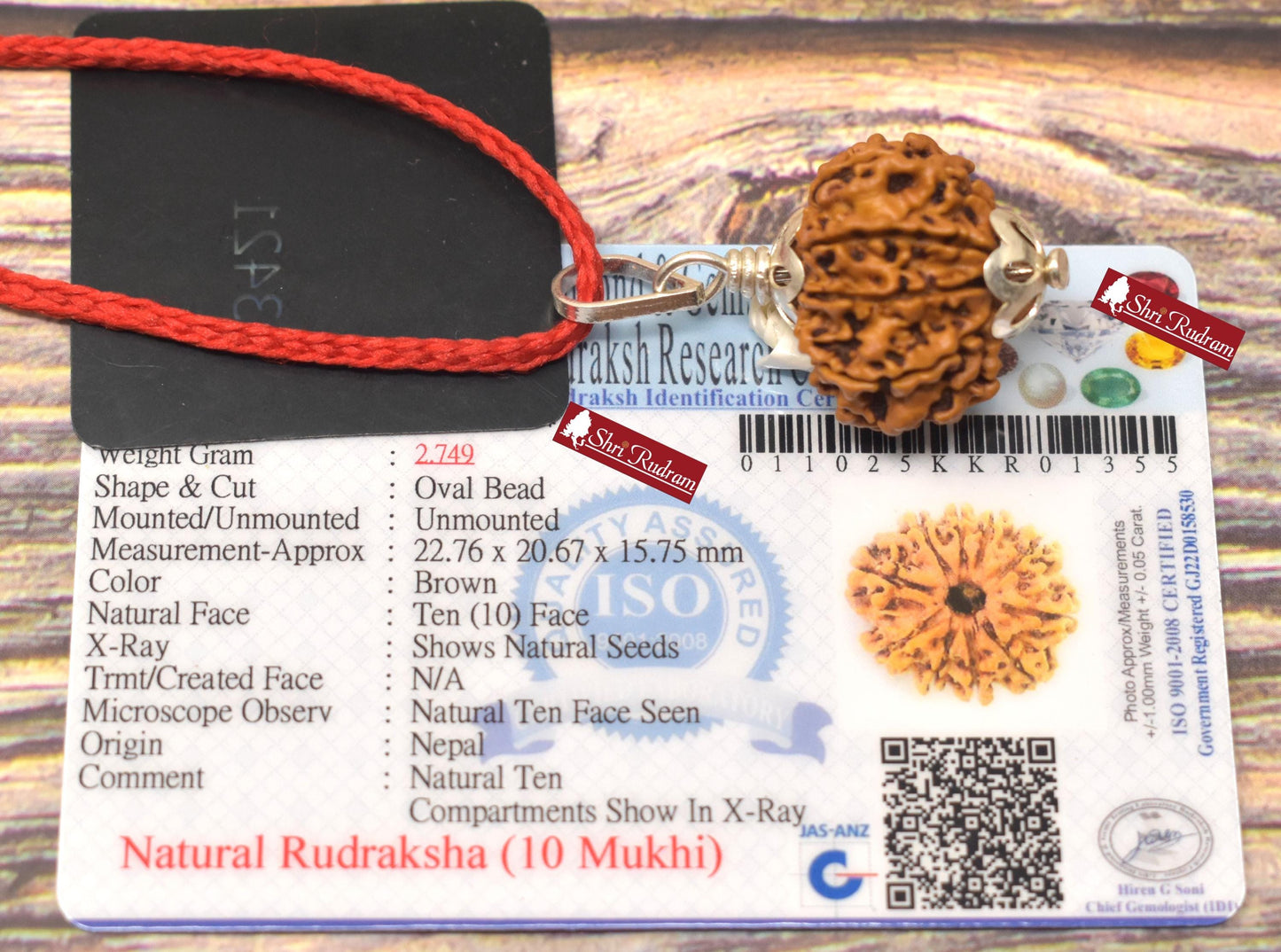 ShriRudram 10 Mukhi Rudraksha / Ten Face Rudraksh Nepal Bead Lab Certified 22.76 MM