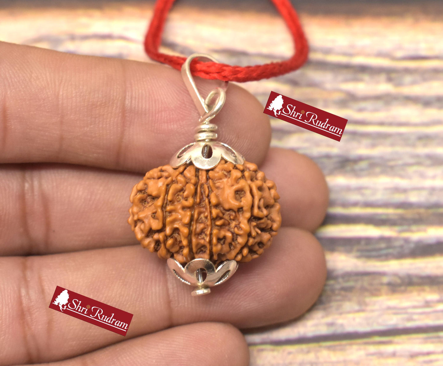 ShriRudram 12 Mukhi Rudraksha / Twelve Face Rudraksh Nepal Bead Lab Certified 24.56 MM