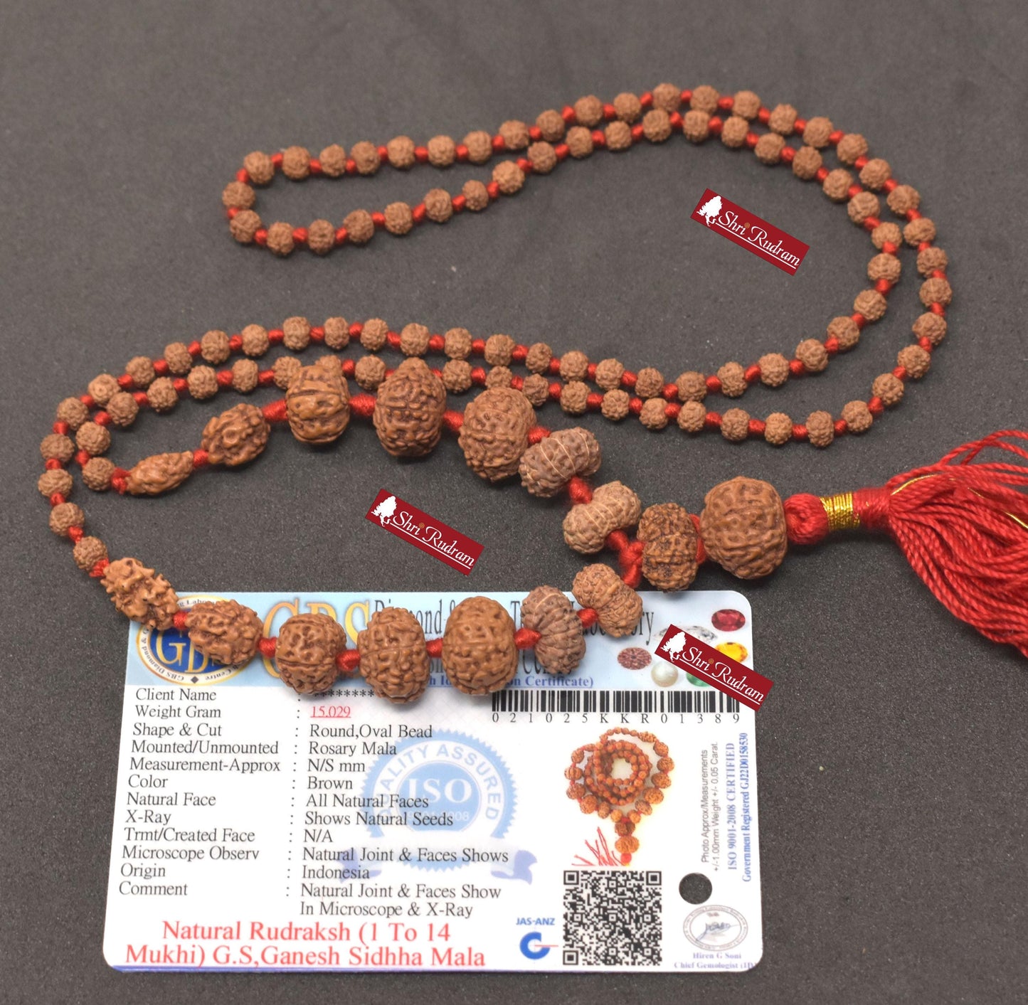 ShriRudram Siddha Mala 1 - 14 Mukhi , Gauri Shankar , Ganesh Rudraksha Rudraksh Lab Certified D89