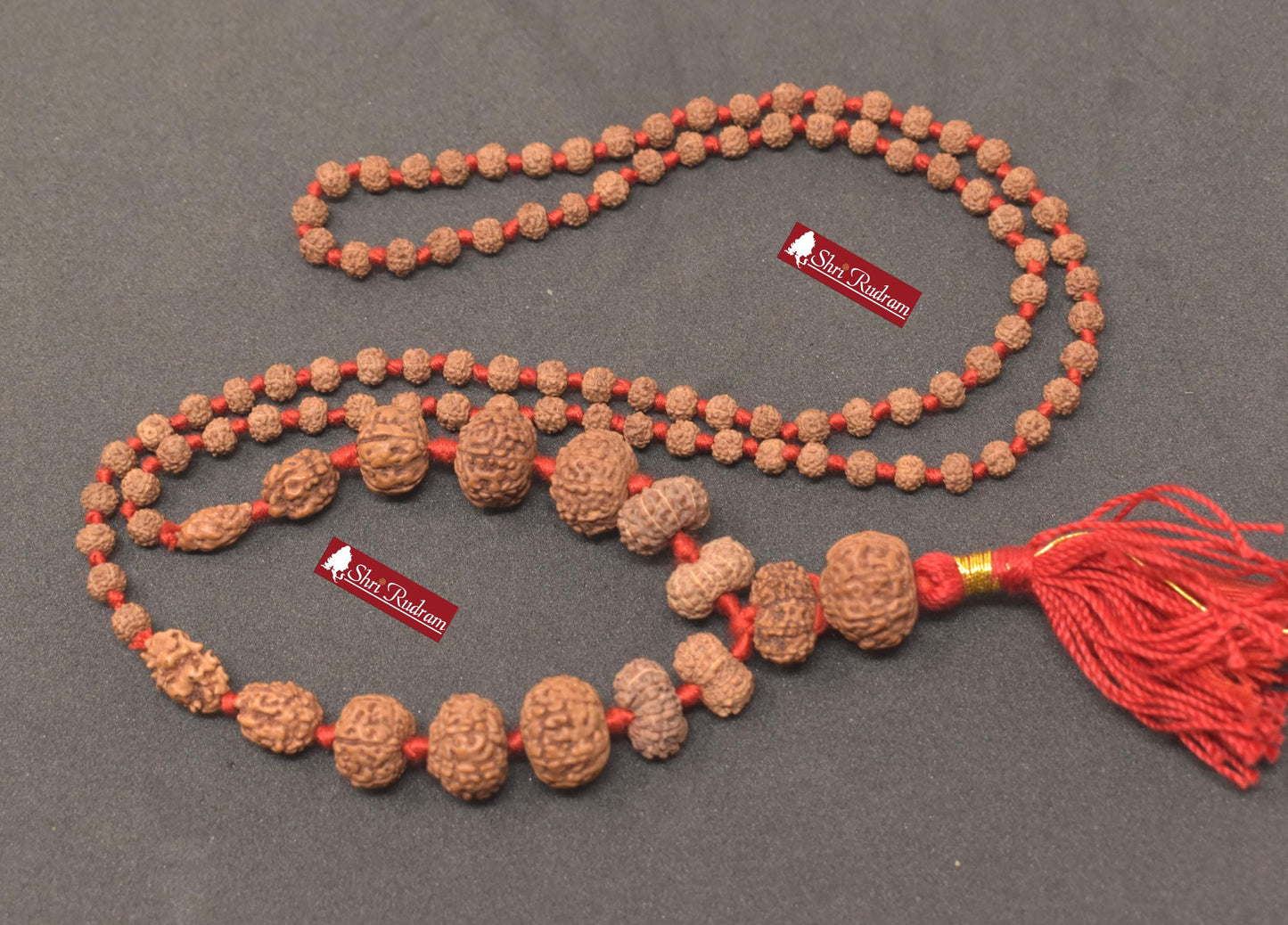 ShriRudram Siddha Mala 1 - 14 Mukhi , Gauri Shankar , Ganesh Rudraksha Rudraksh Lab Certified D89