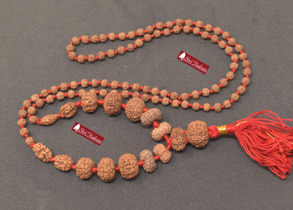 ShriRudram Siddha Mala 1 - 14 Mukhi , Gauri Shankar , Ganesh Rudraksha Rudraksh Lab Certified D89
