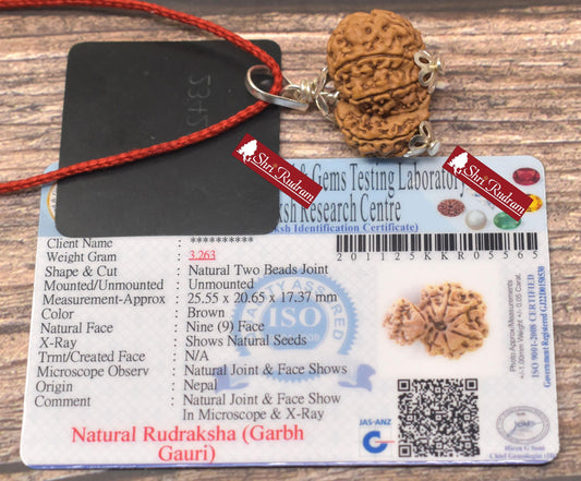 ShriRudram Garbh Gauri Rudraksha / Gouri Ganesh Rudraksh Nepal Bead Lab Certified 25.55 MM