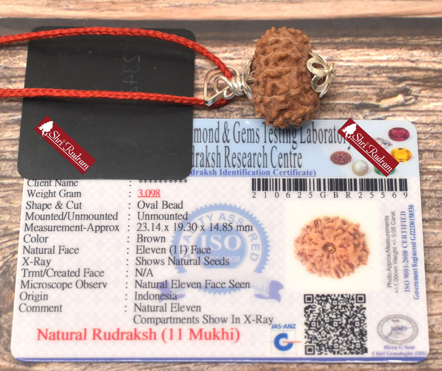 ShriRudram 11 Mukhi Rudraksha / Eleven Face Rudraksh Java Bead Lab Certified 23.14 MM