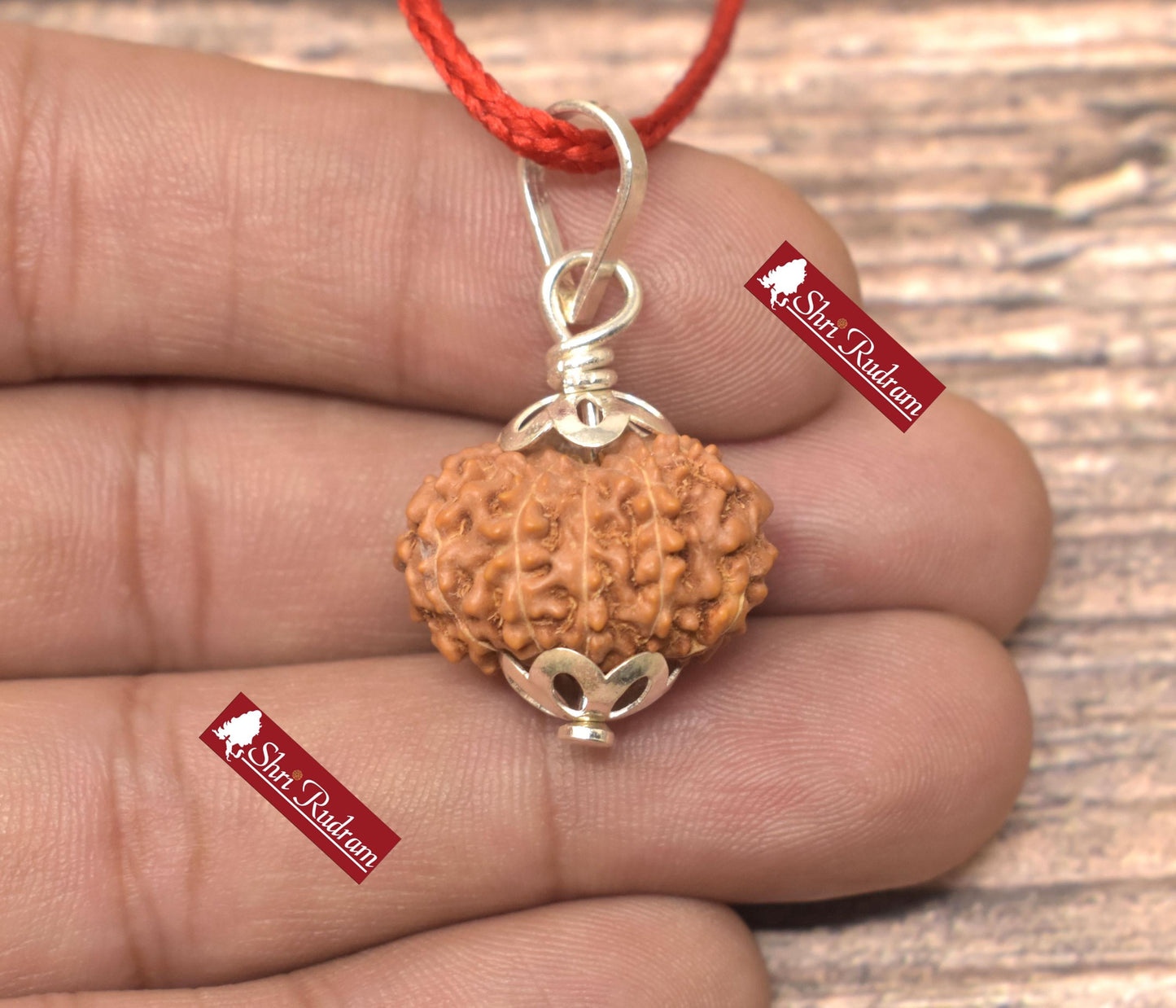 ShriRudram 11 Mukhi Rudraksha / Eleven Face Rudraksh Java Bead Lab Certified 20.88 MM