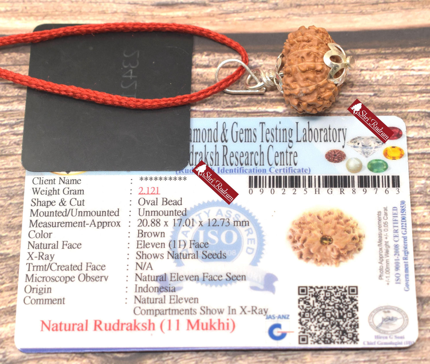 ShriRudram 11 Mukhi Rudraksha / Eleven Face Rudraksh Java Bead Lab Certified 20.88 MM