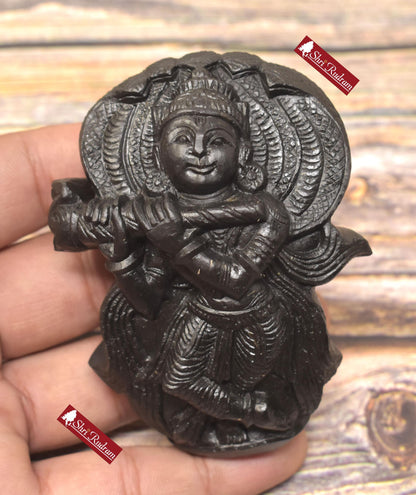 ShriRudram Krishna Murti / Krishan Kanha Idol Iskcon Carved on Sudarshan Shaligram Nepal KC188