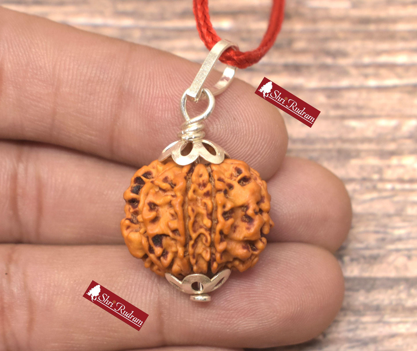ShriRudram 9 Mukhi Rudraksha / NIne Face Rudraksh Nepal Bead Lab Certified Size 22.12 MM