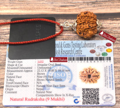 ShriRudram 9 Mukhi Rudraksha / NIne Face Rudraksh Nepal Bead Lab Certified Size 22.12 MM