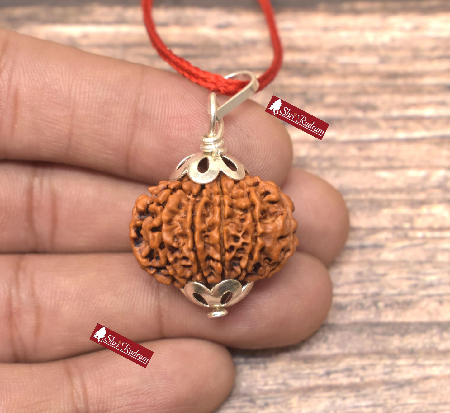 ShriRudram 11 Mukhi Rudraksha / Eleven Face Rudraksh Nepal Bead Super Collector Lab Certified 26.22 MM