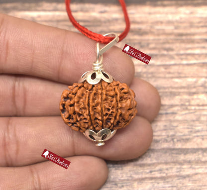 ShriRudram 11 Mukhi Rudraksha / Eleven Face Rudraksh Nepal Bead Super Collector Lab Certified 26.22 MM
